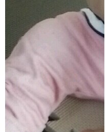 Birthday | パンツ