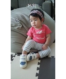 真剣にワンワン見てる… | その他