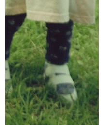 OLD NAVY | パンツ