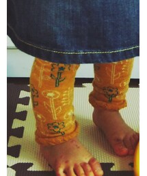 Birthday | レッグウェア