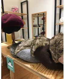 14+ | ハンチング/ベレー帽