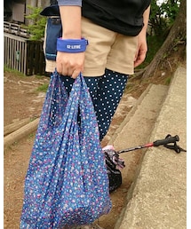 ROOTOTE | いつでもサッと取り出して使えます(エコバッグ/サブバッグ)