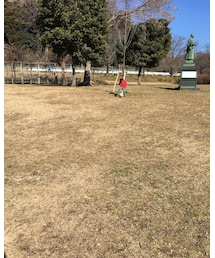 サッカーの練習 | その他