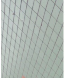 ヤフオクドーム!! | その他