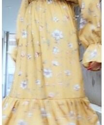 韓国 | ワンピース