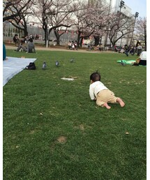 鳩追っかける | その他