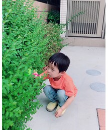 Birthday | スリッポン