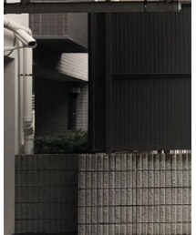 theory | ピーコート
