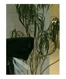 SNIDEL | チェスターコート