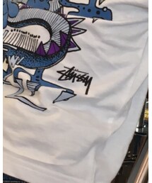 STUSSY | Tシャツ/カットソー