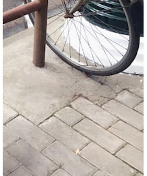 undercovernike | スニーカー