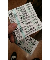 皐月賞🐴的中 | その他
