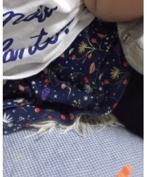 CORVA | スカート