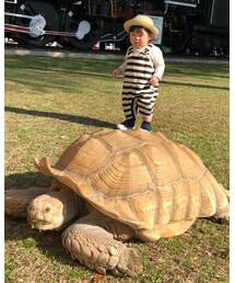 🐢遠近法 | オールインワン・サロペット