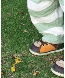 SKECHERS | スニーカー