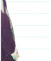 ZARA | ライダースジャケット