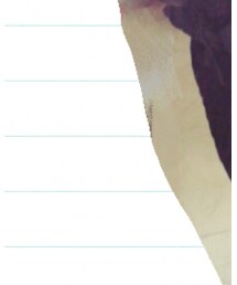 EMODA | その他パンツ