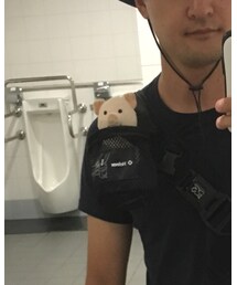 ぷーとん | その他