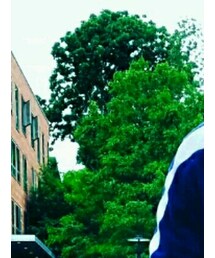 POLO RALPH LAUREN | ブルゾン