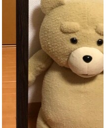 TED | (その他)