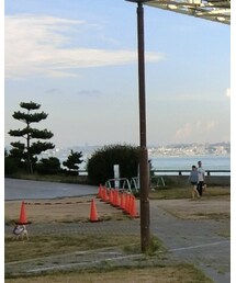 AZUL by moussy | Tシャツ/カットソー