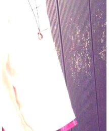 WEGO | Tシャツ/カットソー