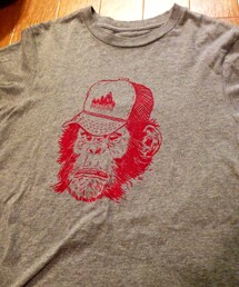 patagonia | patagoniaのTシャツ✳︎(Tシャツ/カットソー)