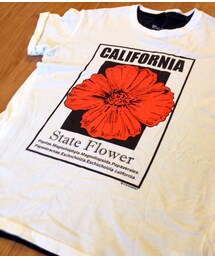 HOLLYWOOD RANCH MARKET | ハリウッドランチマーケットのTシャツ✳︎(Tシャツ/カットソー)