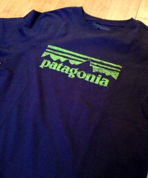 patagonia | パタゴニアのTシャツ✳︎(Tシャツ/カットソー)