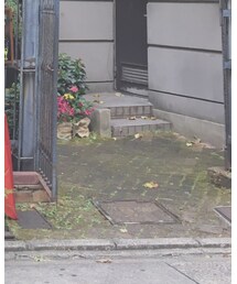 NIKE | スニーカー