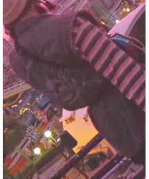 Harley-Davidson | ベスト