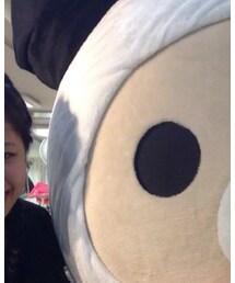 パンダリラックマ | その他