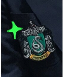Slytherin badge | (チャーム)