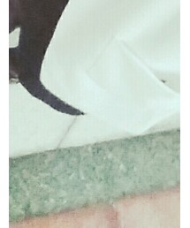 MARY QUANT | スカート