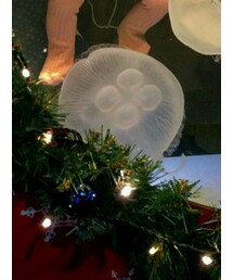 MARLMARL | スタイ/よだれかけ