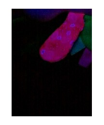 Brightstarts | おもちゃ