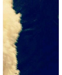 petit main | ニットキャップ/ビーニー