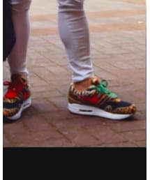 AIR MAX 1 animal Pack 2 | スニーカー