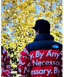 THE NORTH FACE | ダウンジャケット/コート