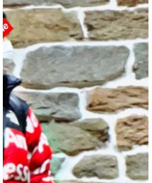 THE NORTH FACE | ダウンジャケット/コート