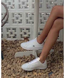 LACOSTE | スニーカー