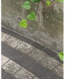 instagram | その他