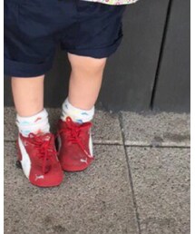 mina perhonen | ソックス/靴下