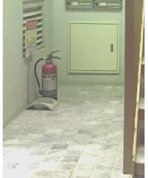 ZARA | その他パンツ