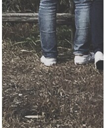 US VANS | スニーカー