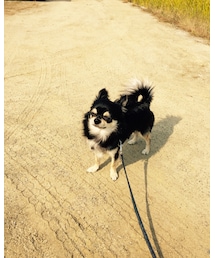 眩しいそうなカミュくん | その他