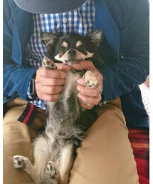 ウール100%カミュ君 | ニット/セーター