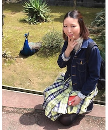 クジャクと同じ色 | その他