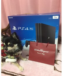 プレゼント交換🎁 | おもちゃ