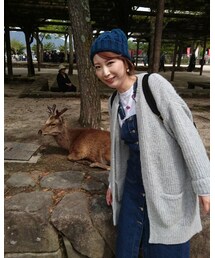 宮島の鹿ちゃん | その他